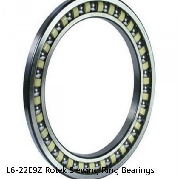 L6-22E9Z Rotek Slewing Ring Bearings