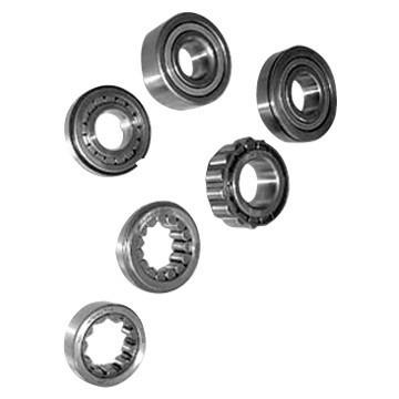 25 mm x 47 mm x 12 mm  NACHI NUP 1005 cylindrical roller bearings