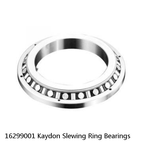 16299001 Kaydon Slewing Ring Bearings