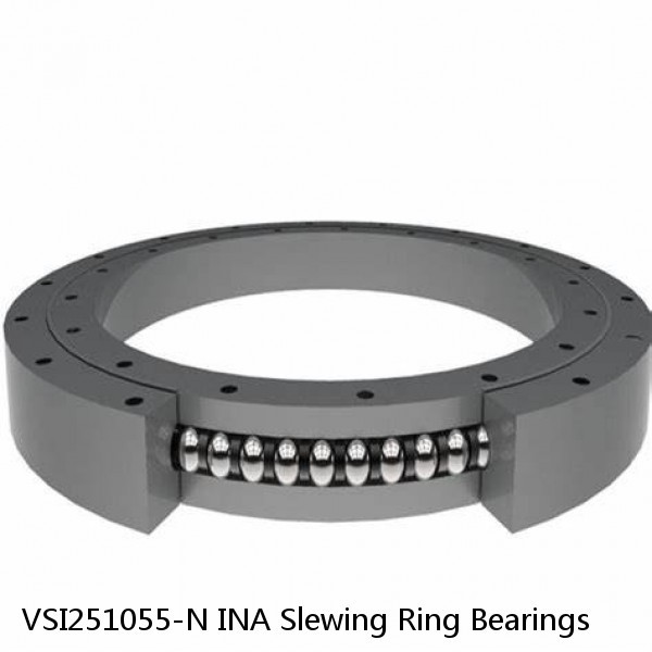 VSI251055-N INA Slewing Ring Bearings