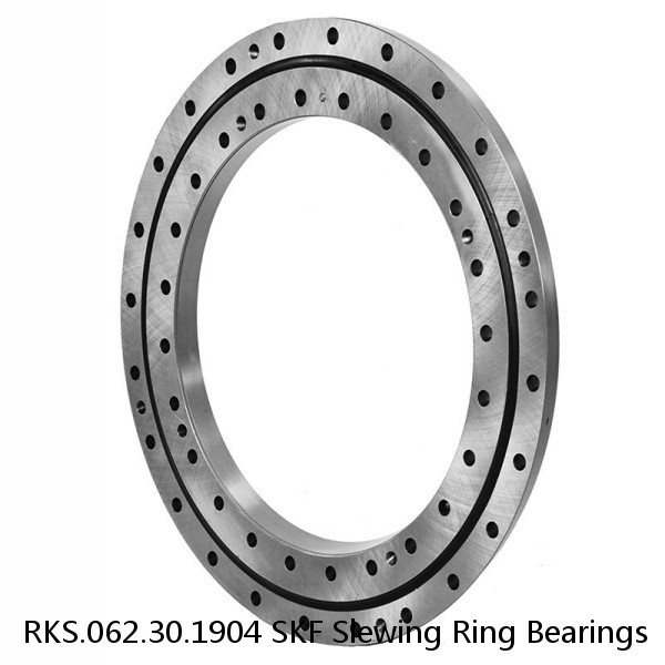 RKS.062.30.1904 SKF Slewing Ring Bearings