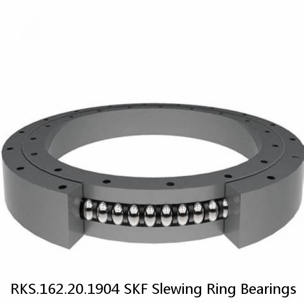 RKS.162.20.1904 SKF Slewing Ring Bearings