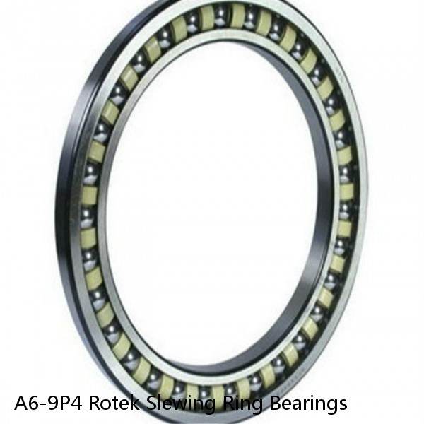 A6-9P4 Rotek Slewing Ring Bearings