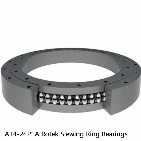 A14-24P1A Rotek Slewing Ring Bearings