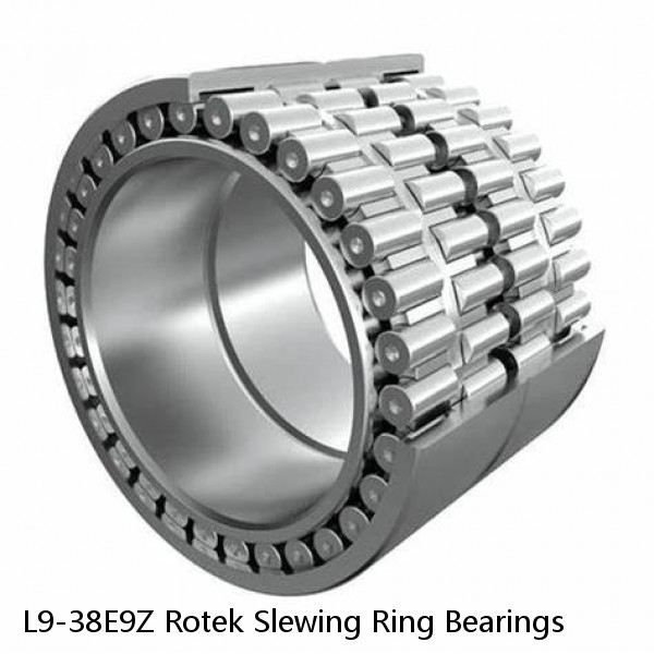 L9-38E9Z Rotek Slewing Ring Bearings