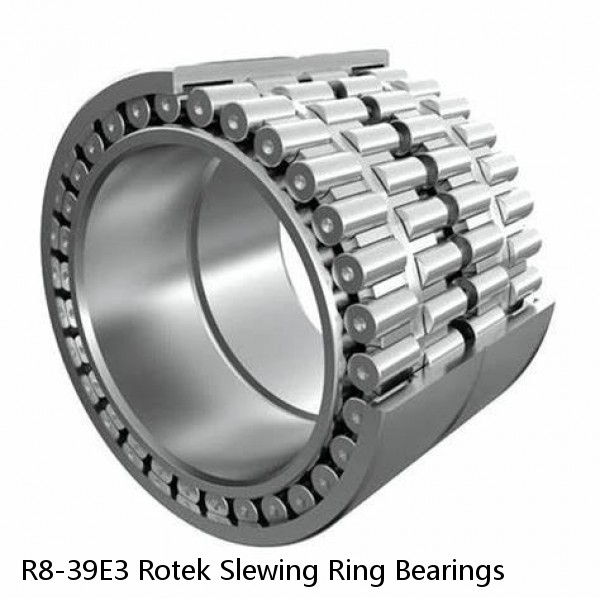 R8-39E3 Rotek Slewing Ring Bearings