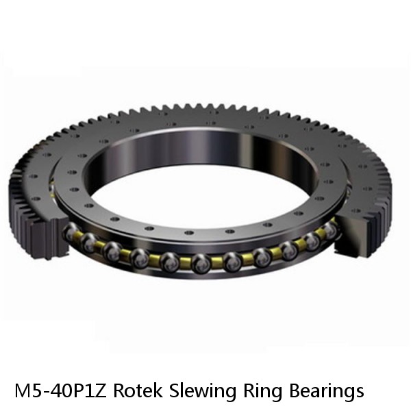 M5-40P1Z Rotek Slewing Ring Bearings