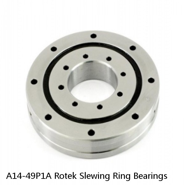 A14-49P1A Rotek Slewing Ring Bearings