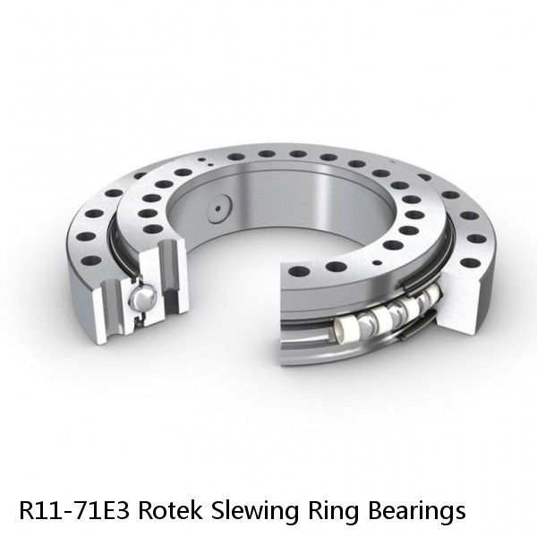 R11-71E3 Rotek Slewing Ring Bearings