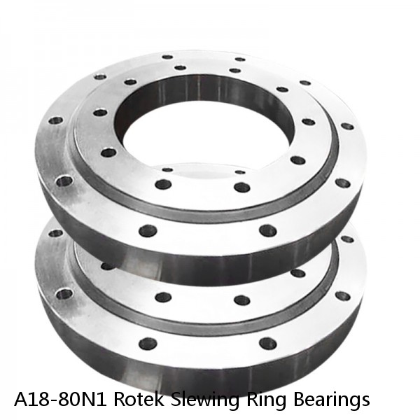 A18-80N1 Rotek Slewing Ring Bearings