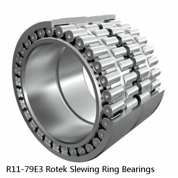 R11-79E3 Rotek Slewing Ring Bearings