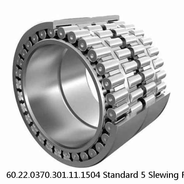 60.22.0370.301.11.1504 Standard 5 Slewing Ring Bearings