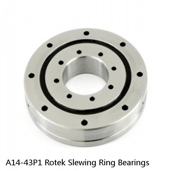 A14-43P1 Rotek Slewing Ring Bearings