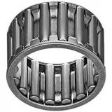 22 mm x 39 mm x 31 mm  NSK NA69/22TT needle roller bearings