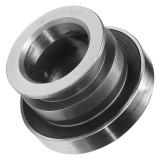 INA 2925 thrust ball bearings