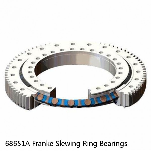 68651A Franke Slewing Ring Bearings