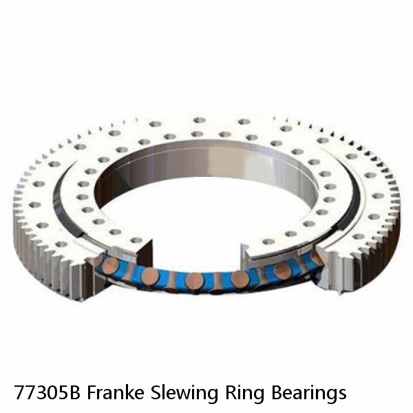 77305B Franke Slewing Ring Bearings