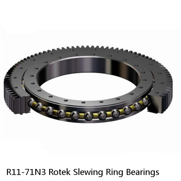 R11-71N3 Rotek Slewing Ring Bearings