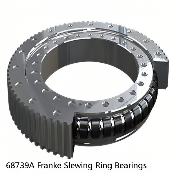 68739A Franke Slewing Ring Bearings