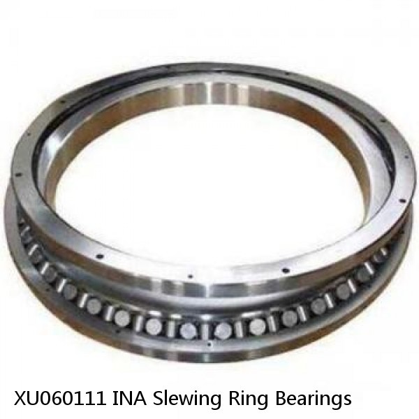 XU060111 INA Slewing Ring Bearings