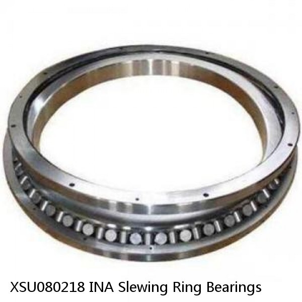 XSU080218 INA Slewing Ring Bearings