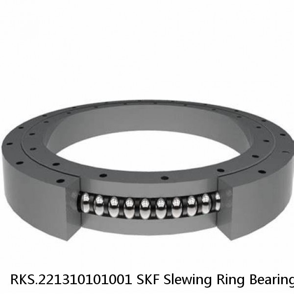 RKS.221310101001 SKF Slewing Ring Bearings