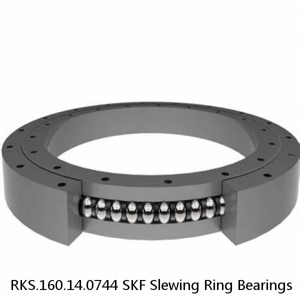 RKS.160.14.0744 SKF Slewing Ring Bearings