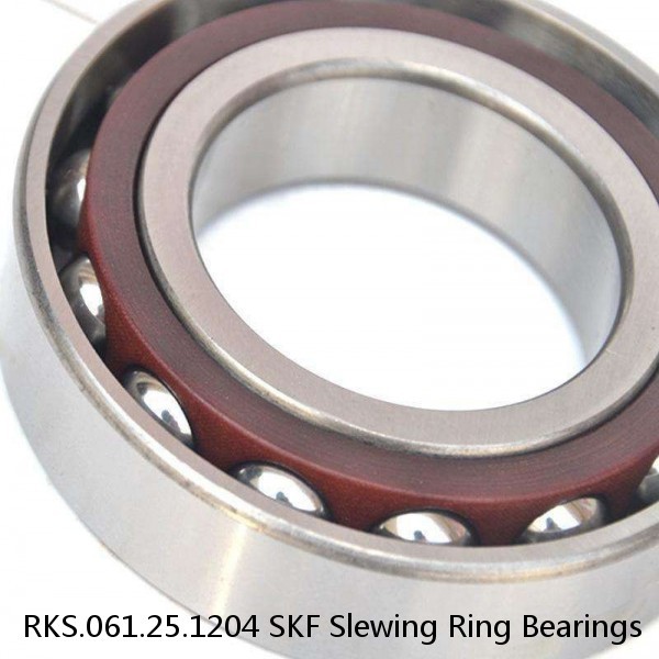 RKS.061.25.1204 SKF Slewing Ring Bearings