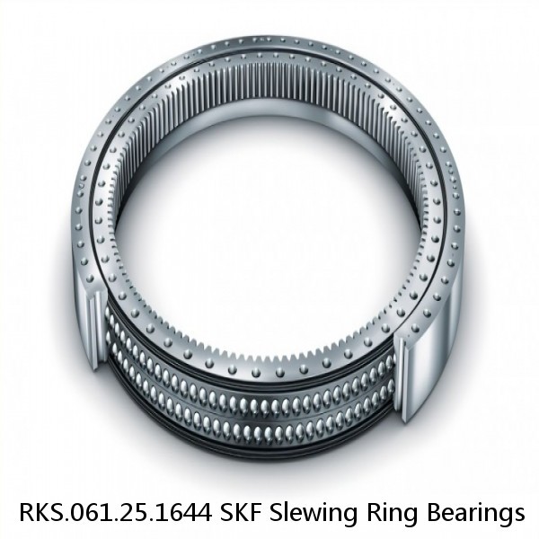 RKS.061.25.1644 SKF Slewing Ring Bearings