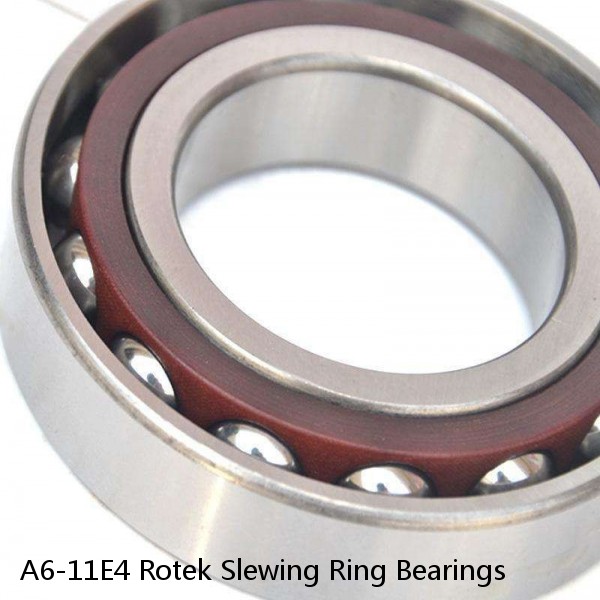 A6-11E4 Rotek Slewing Ring Bearings