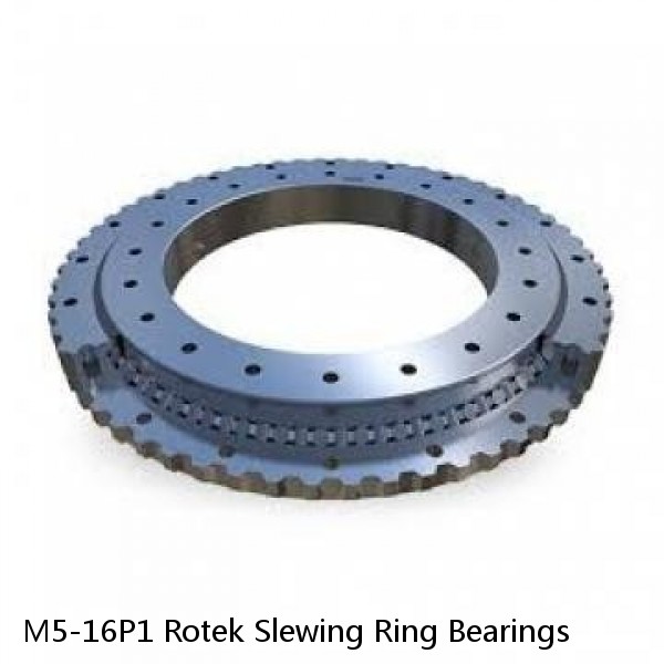 M5-16P1 Rotek Slewing Ring Bearings