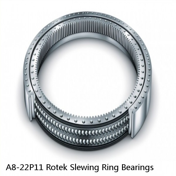 A8-22P11 Rotek Slewing Ring Bearings