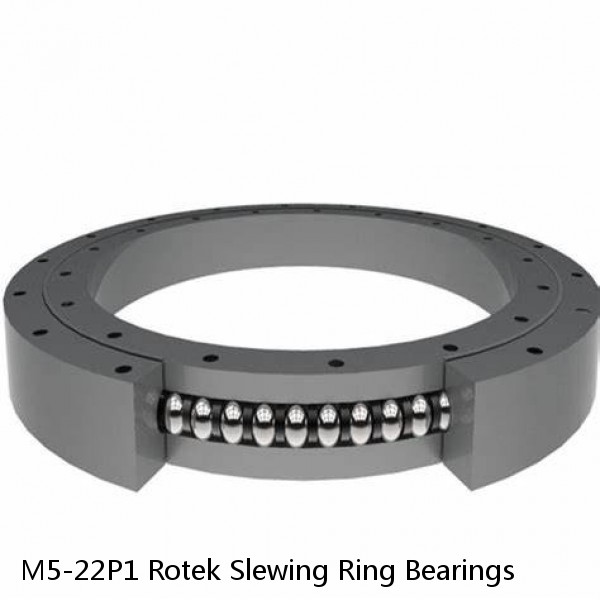 M5-22P1 Rotek Slewing Ring Bearings