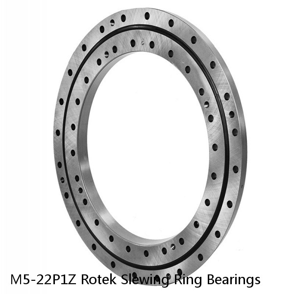 M5-22P1Z Rotek Slewing Ring Bearings