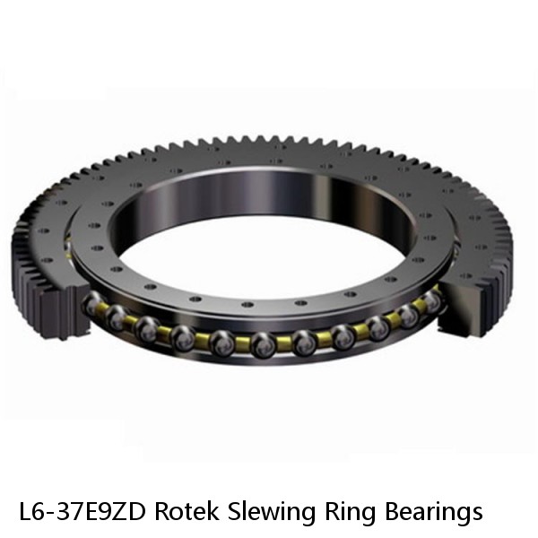 L6-37E9ZD Rotek Slewing Ring Bearings