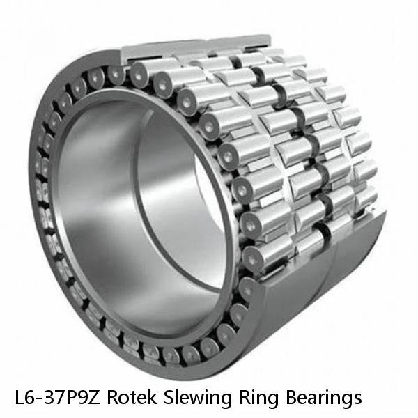 L6-37P9Z Rotek Slewing Ring Bearings