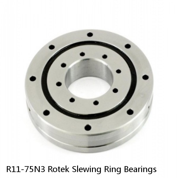 R11-75N3 Rotek Slewing Ring Bearings