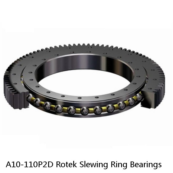 A10-110P2D Rotek Slewing Ring Bearings