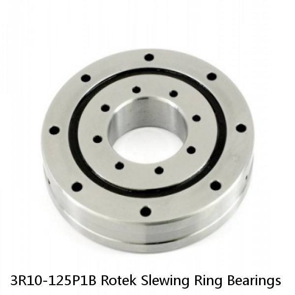 3R10-125P1B Rotek Slewing Ring Bearings