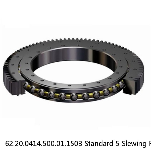 62.20.0414.500.01.1503 Standard 5 Slewing Ring Bearings