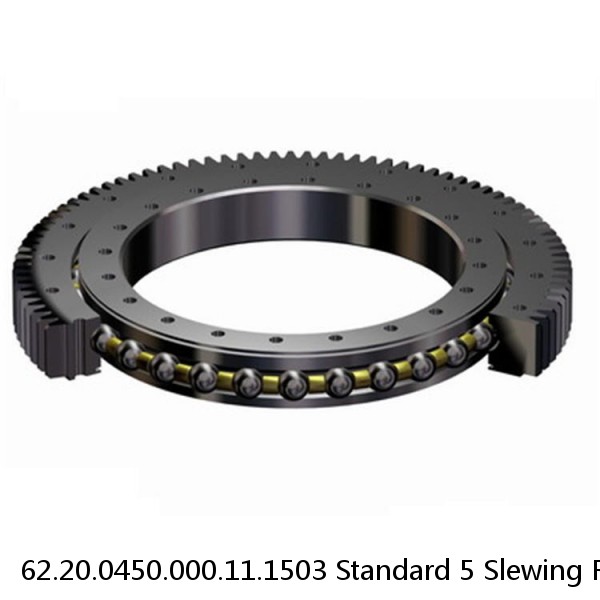 62.20.0450.000.11.1503 Standard 5 Slewing Ring Bearings