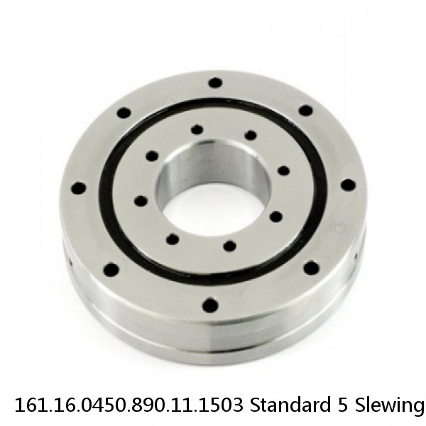 161.16.0450.890.11.1503 Standard 5 Slewing Ring Bearings