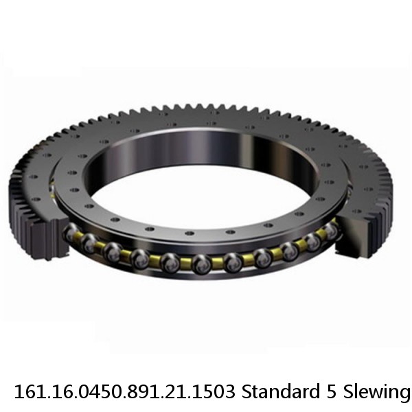 161.16.0450.891.21.1503 Standard 5 Slewing Ring Bearings