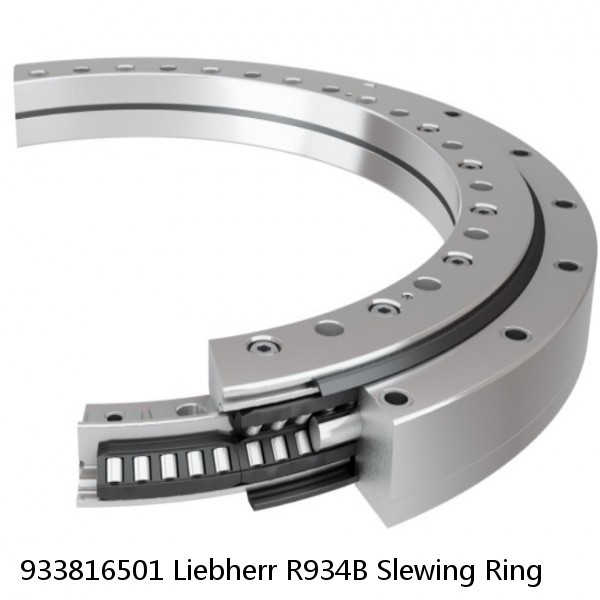 933816501 Liebherr R934B Slewing Ring