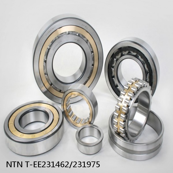 T-EE231462/231975 NTN Cylindrical Roller Bearing