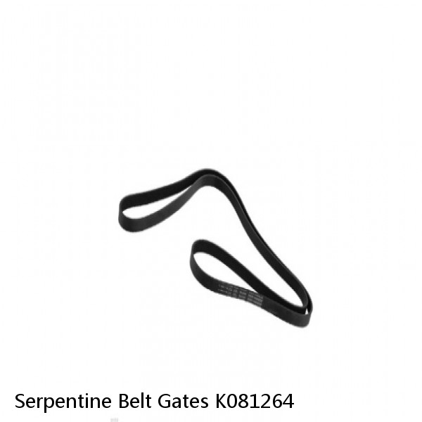 Serpentine Belt Gates K081264