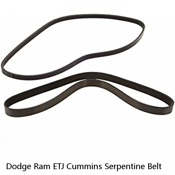 Dodge Ram ETJ Cummins Serpentine Belt